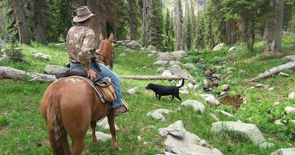 Horseback Riding in San Juan National Forest with Majestic Outfitters