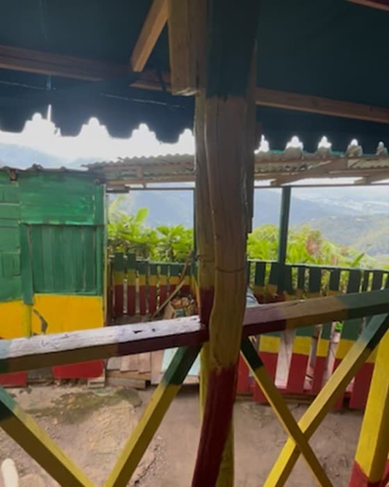 Reggae & Nature Around Kingston: Private Waterfalls, Ital Food & Bob Marley Beach Day Trip photo 1