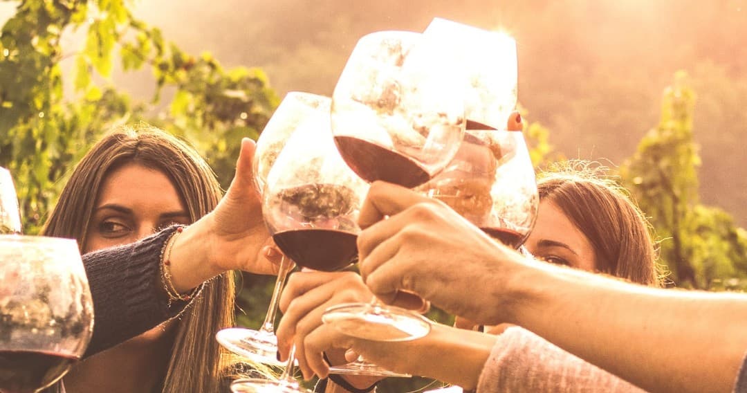 Wine & Sunset Farm Tours & Tastings in Évora
