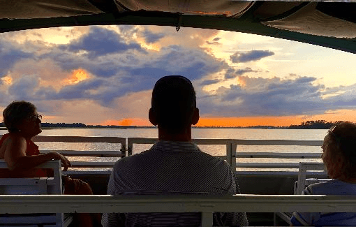 Dolphins at Dusk: Savannah Sunset River Cruise