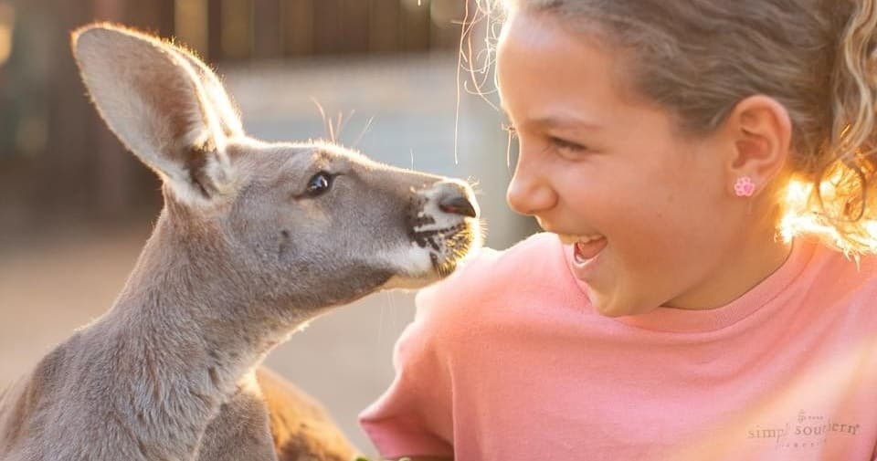 Private Wildlife Connections Encounter: Up-Close Rescue Animal Experiences in Paso Robles