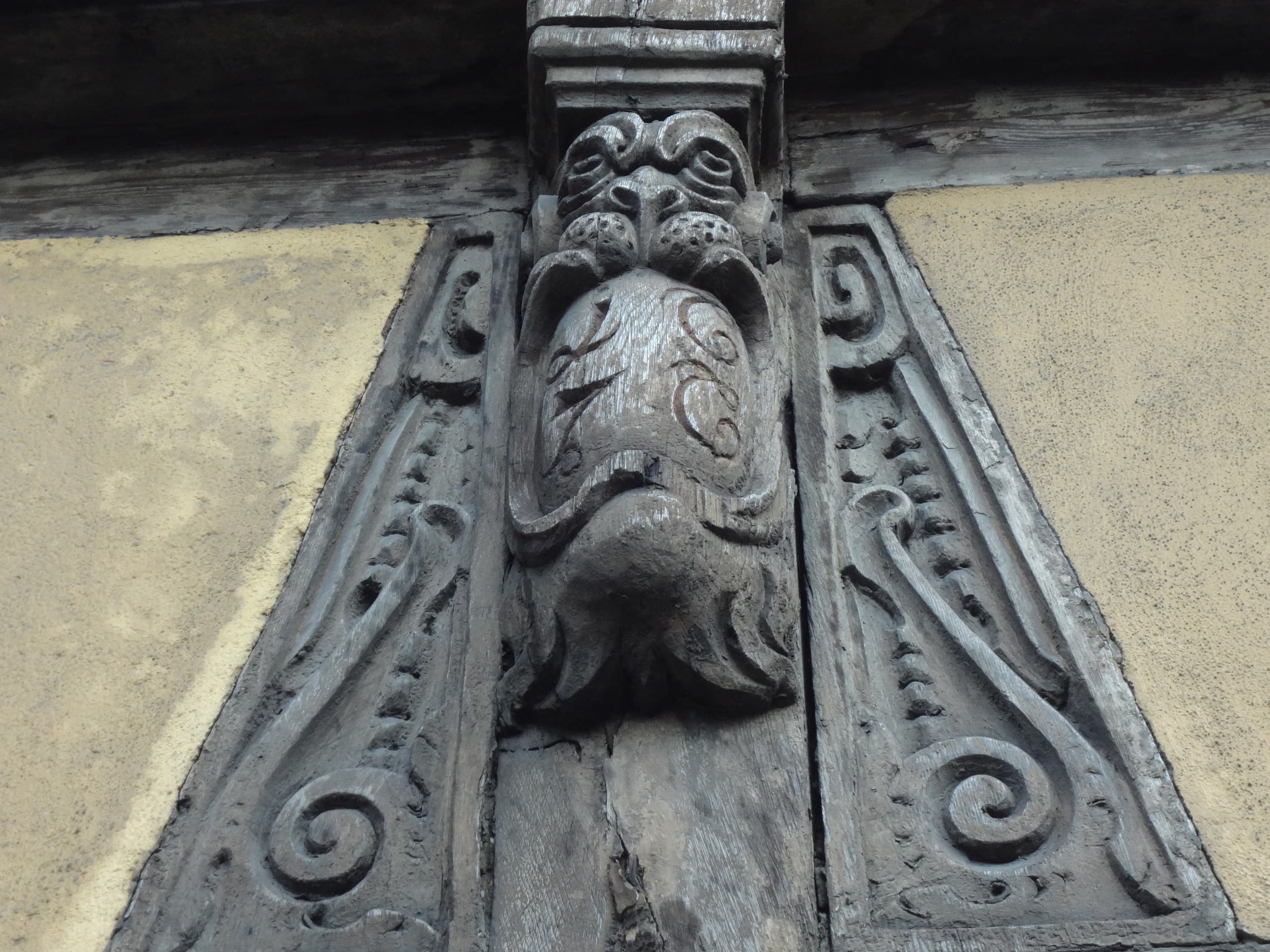 walk-krutenau-1-5-hour-guided-walk-through-strasbourgs-offbeat-quarter photo 3