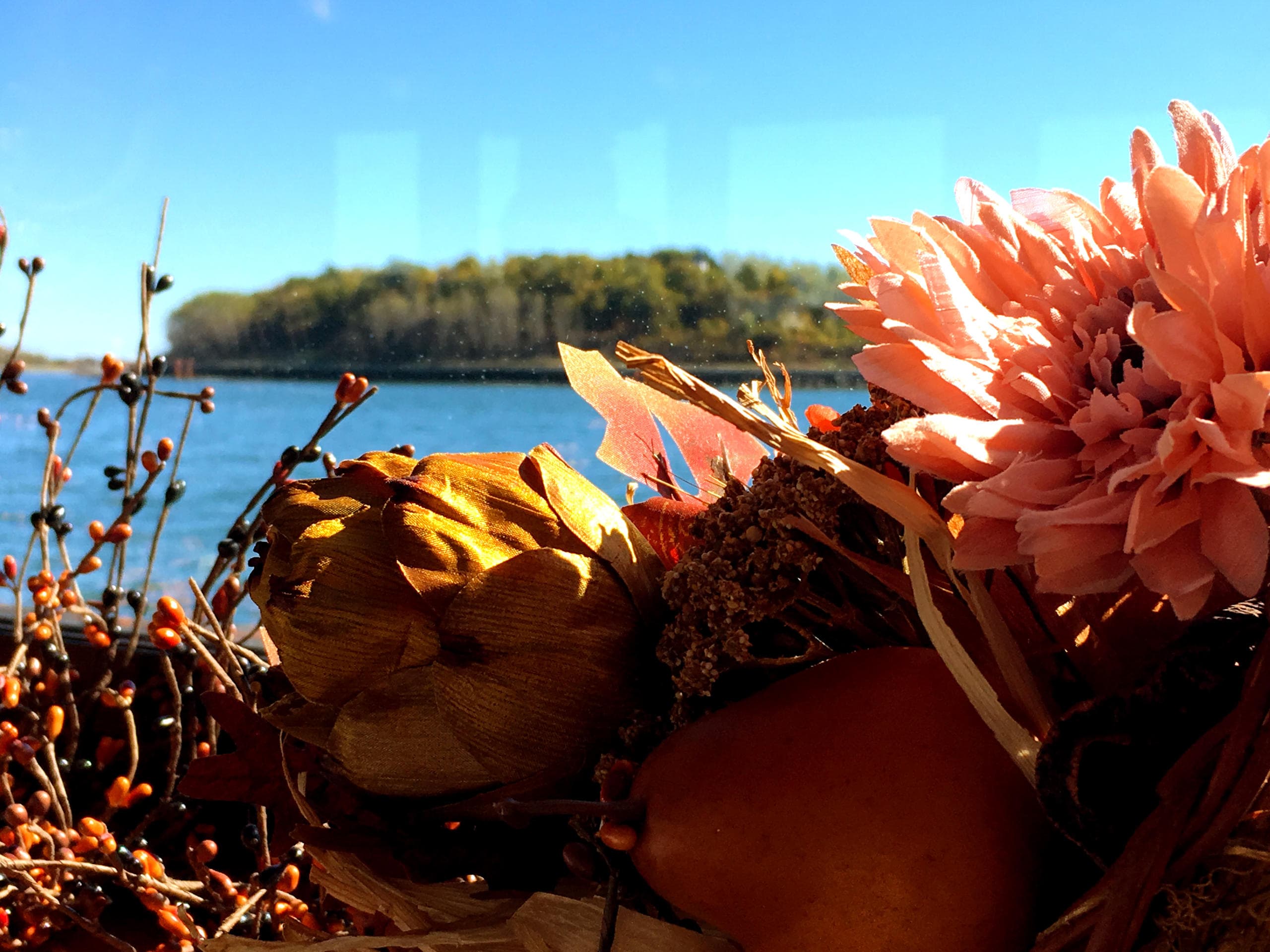 Fall Foliage Brunch Cruise in Boston Harbor