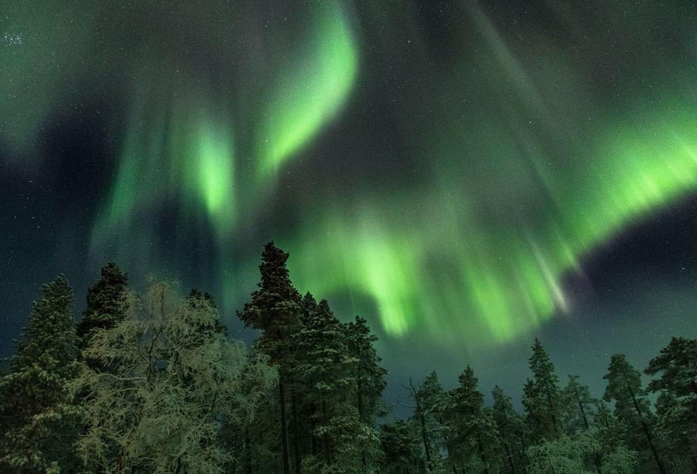 Aurora Snowshoeing at Wilderness Hotel - Juutua