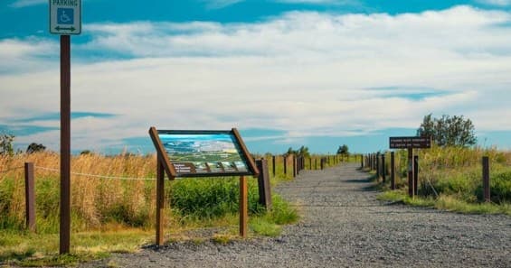 Explore Hawai'i's Big Island in Luxury: Private All-Day Tours from Hilo