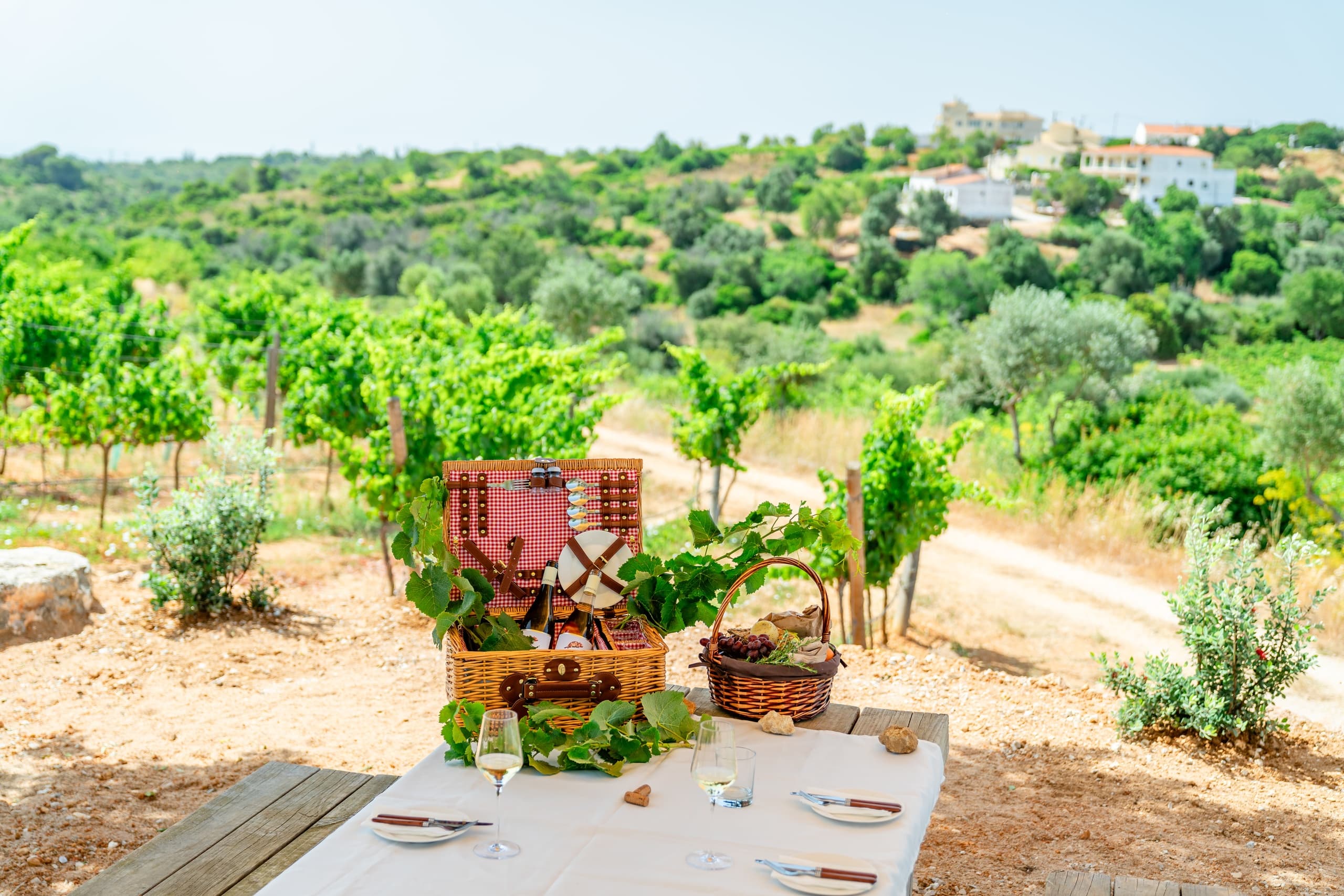 Picnic table with wine and baskets in sunny vineyard countryside