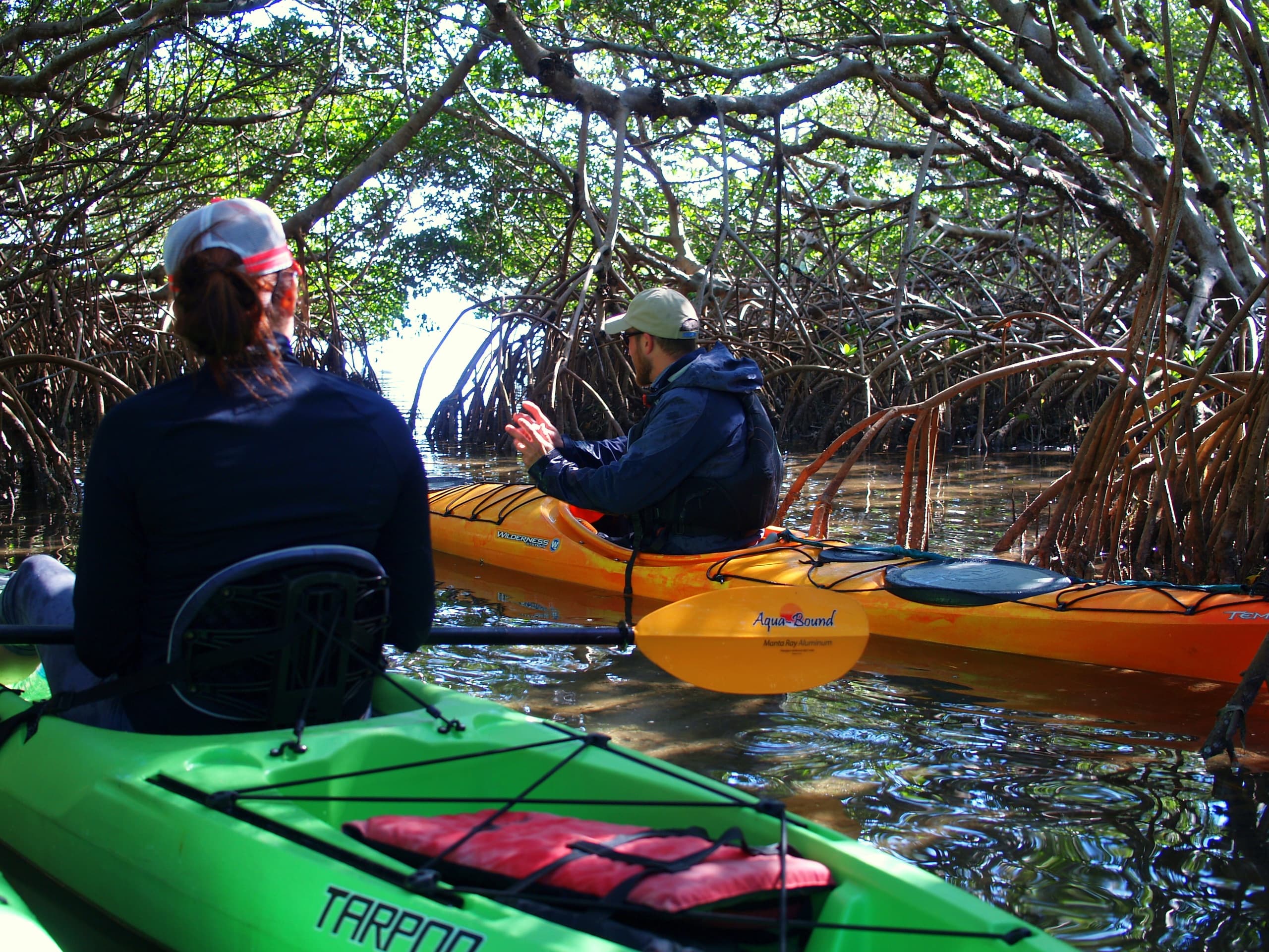 Mangrove Kayak Tour with Happy Paddler on Longboat Key
