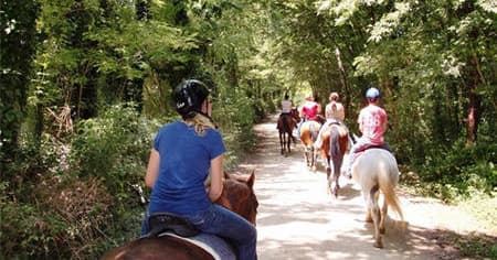 Horseback Riding in Chianti with Under The Tuscan Sun Tours