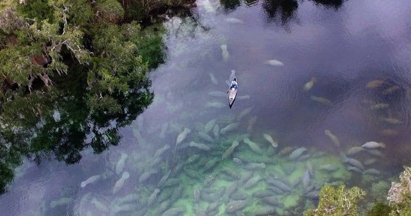 Kayak in Orange City, Florida