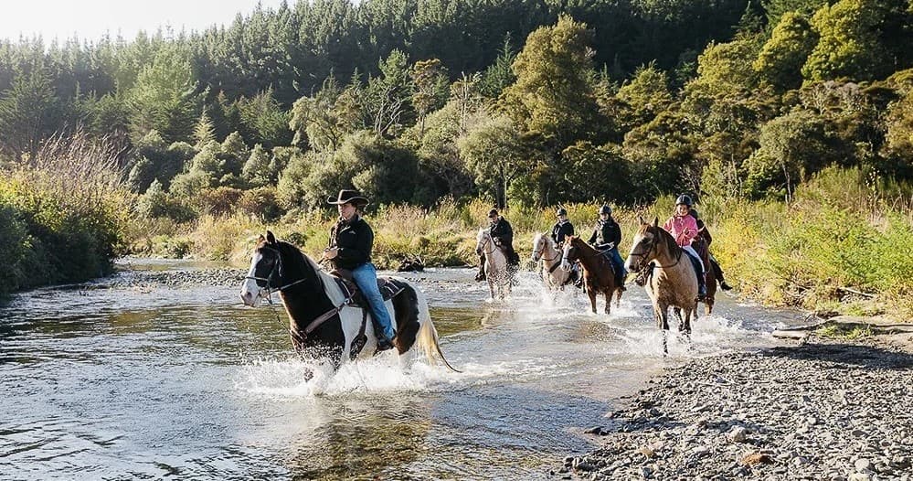 Group of riders splashing through river on guided trail ride