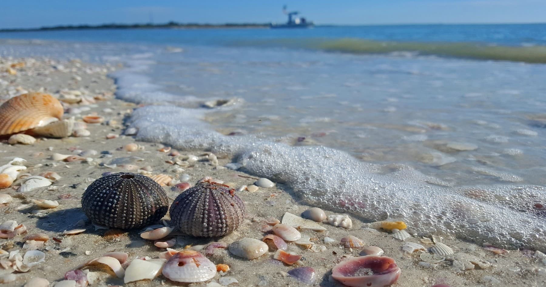 Full Day Boat Tour with St. Pete Boat Tours in St. Petersburg