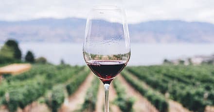 Red wine glass framed against Hunter Valley vineyard panorama