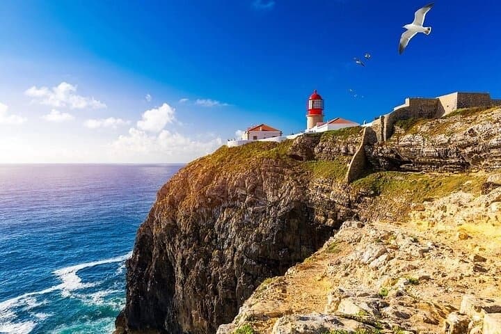 Half-Day Tour with Alsafari Tours in Lagos & Sagres