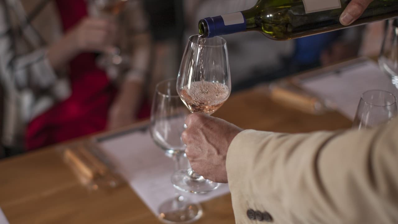Wine Tasting Experience at Wellness Como Srls in Como