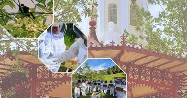 San Lorenzo Beekeeping & Biodiversity Day — Hands-On Apiculture Tour in Puerto Rico