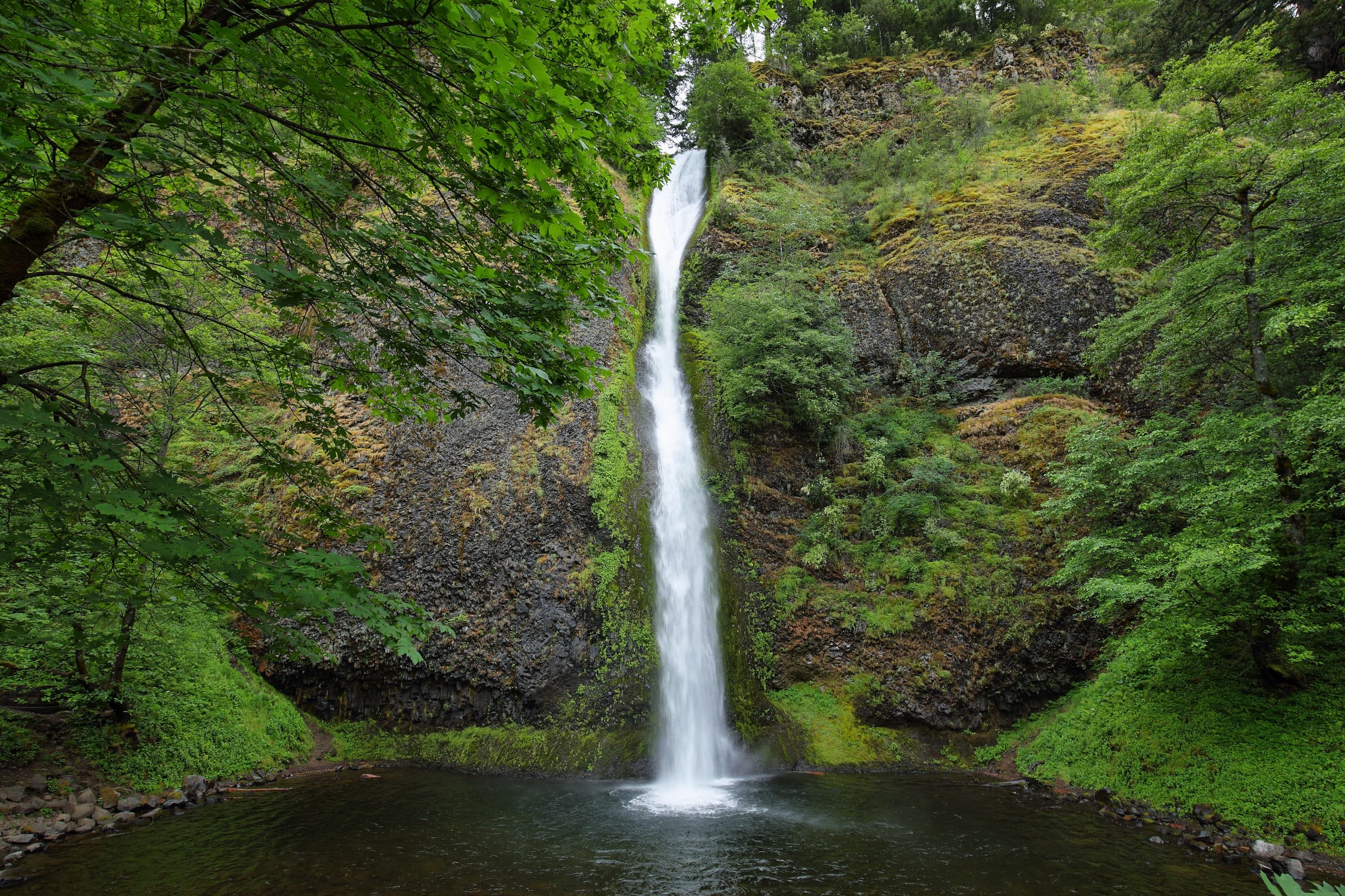 Water Activities & Land Adventures with First Nature Tours in Columbia River Gorge