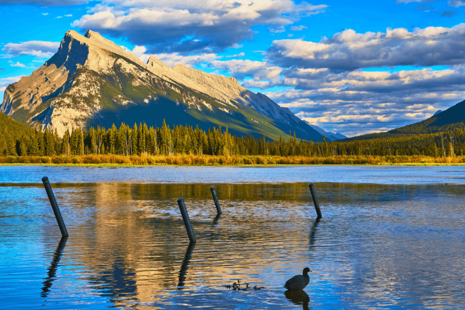 Evening Walk at Lake Minnewanka and Vermilion Lakes Sunset in Banff photo 1