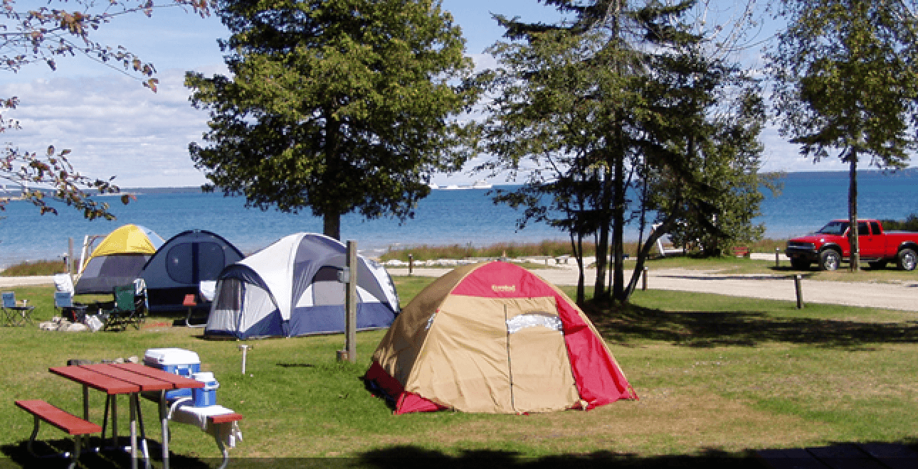 Lakeside tent camping with picnic tables under pine trees