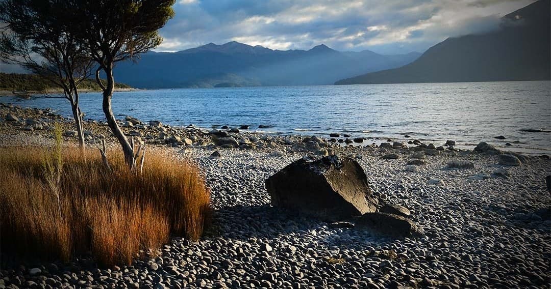 Scenic Road Transfers Between Te Anau & Dunedin, NZ