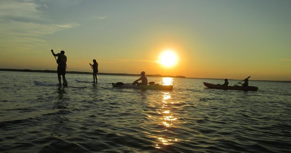 Water Activities with EcoBay Kayaking Adventures in Indian River Bay