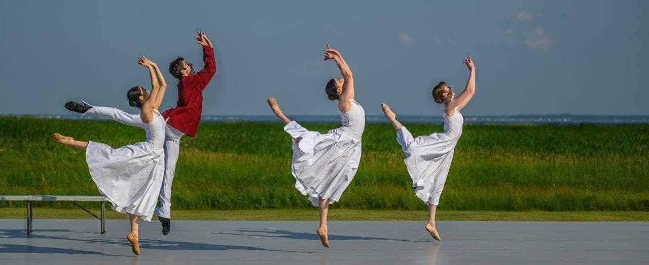 Wetland Ballet and Culinary Delights in New Brunswick