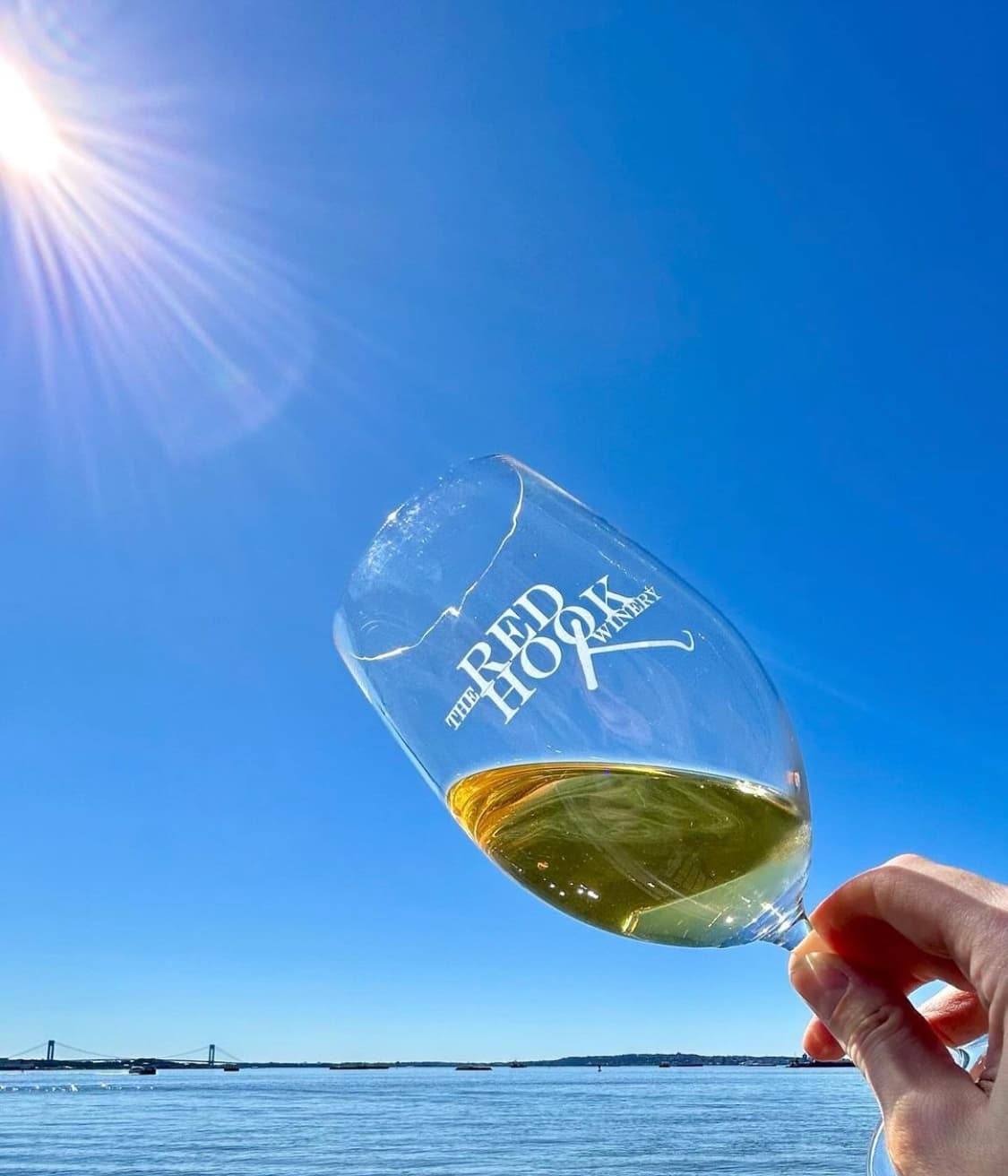 Outdoor Wine Tasting at The Red Hook Winery