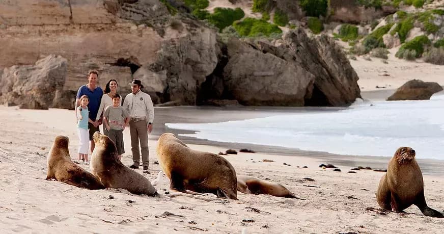 Discover Kangaroo Island: Scenic Nature and Wildlife Day Tour from Penneshaw