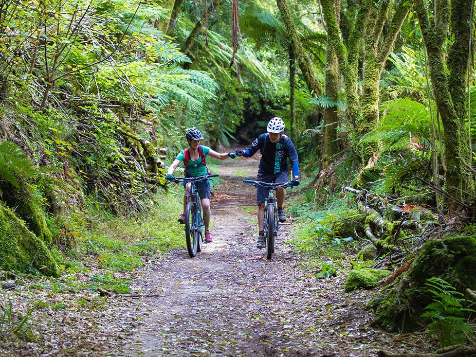 Couple mountain biking through lush forest trail, backcountry adventure