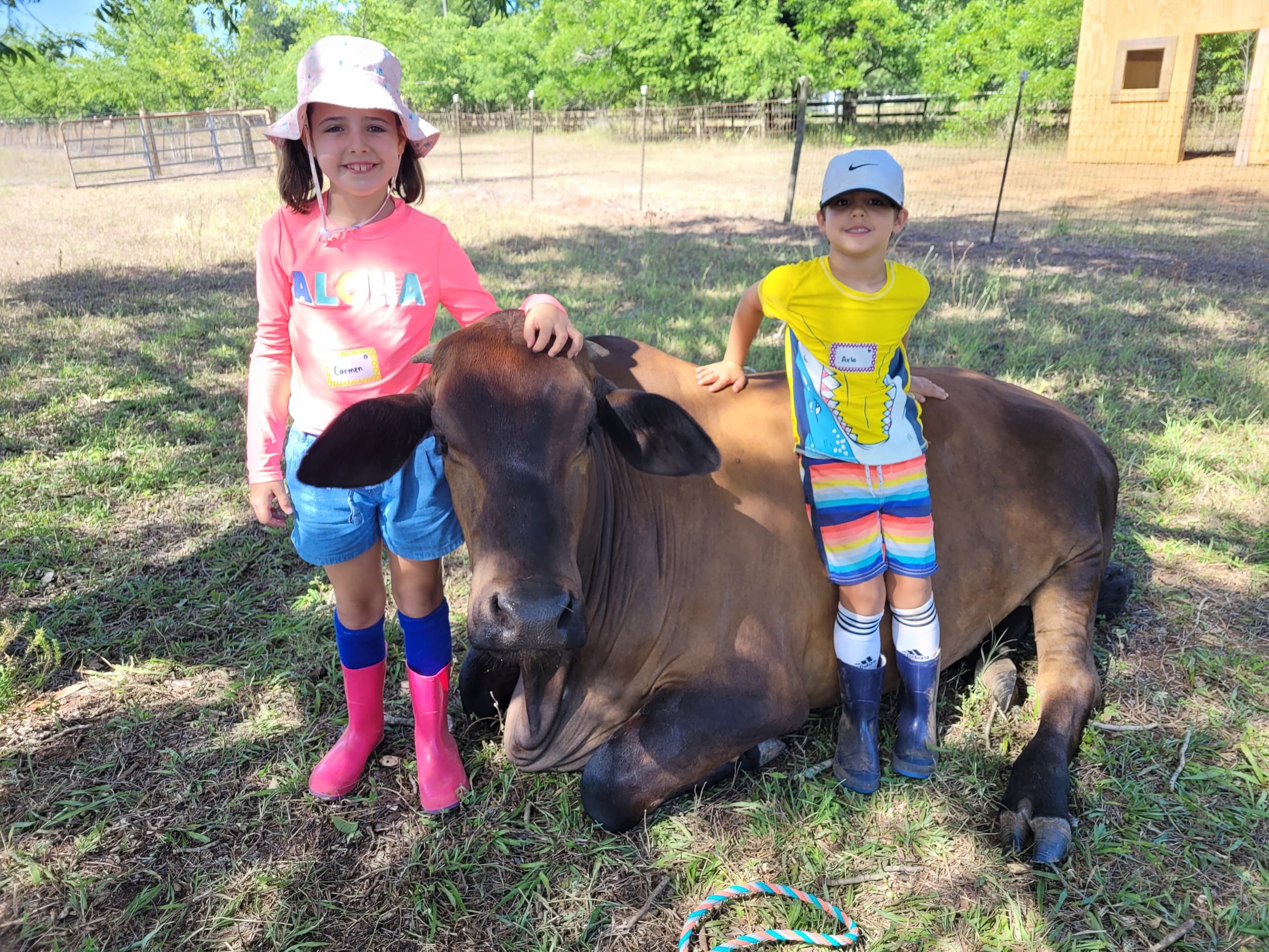 Farm Life Summer Camp in Brookshire, Texas