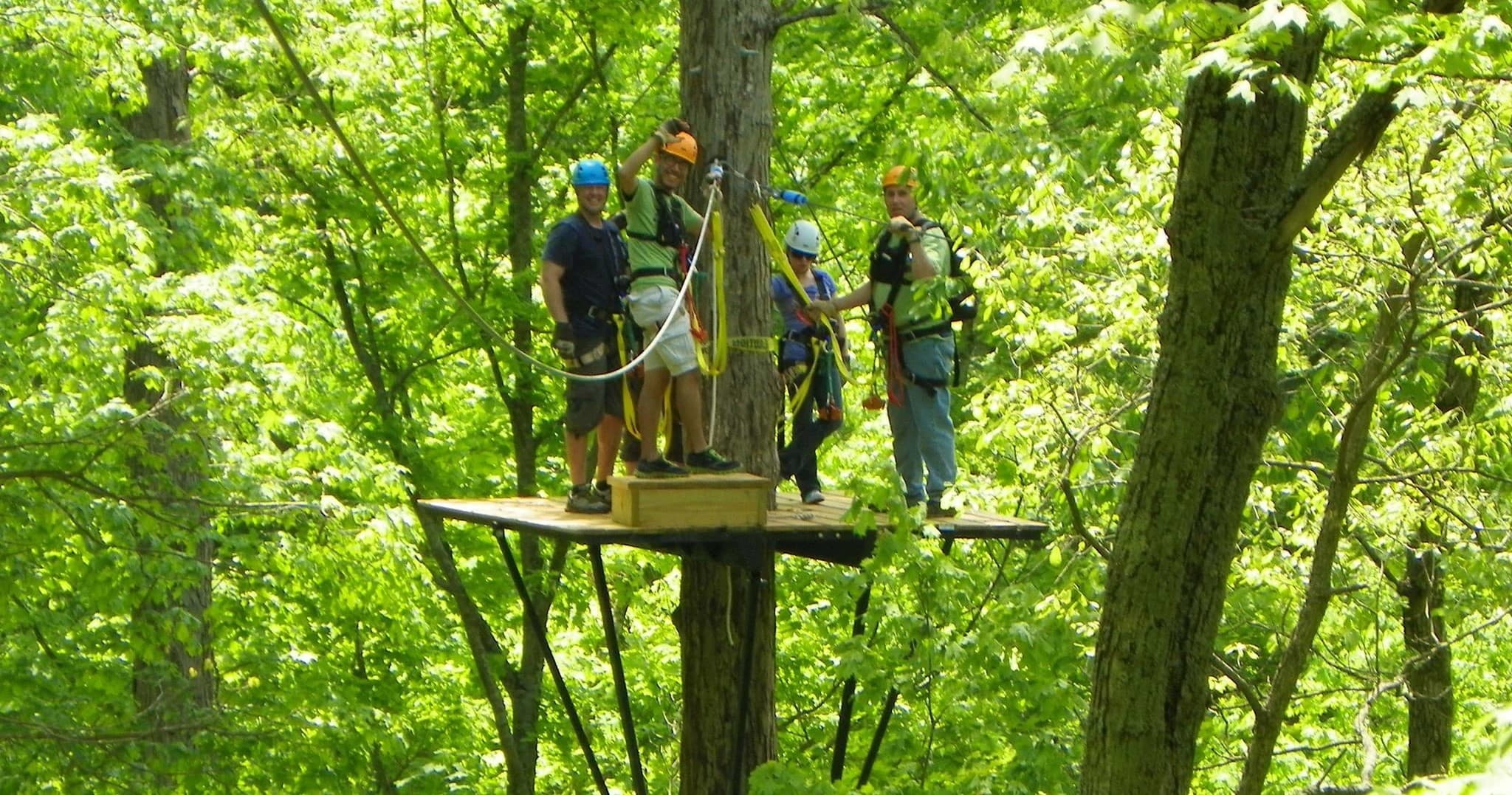 Group on treetop platform in lush green forest ropes course