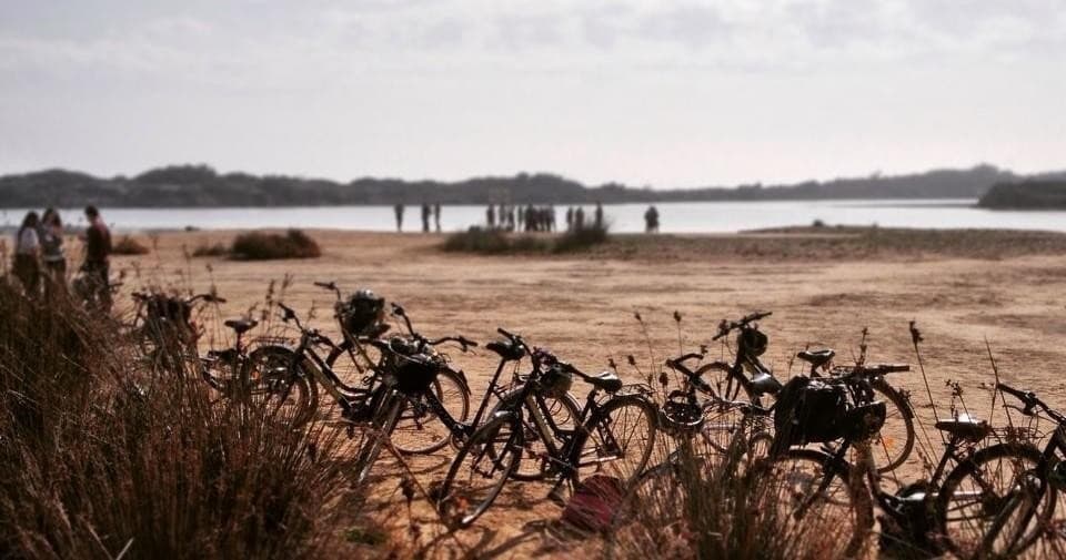Bike Rentals & Scenic Rides at Visit Albufera
