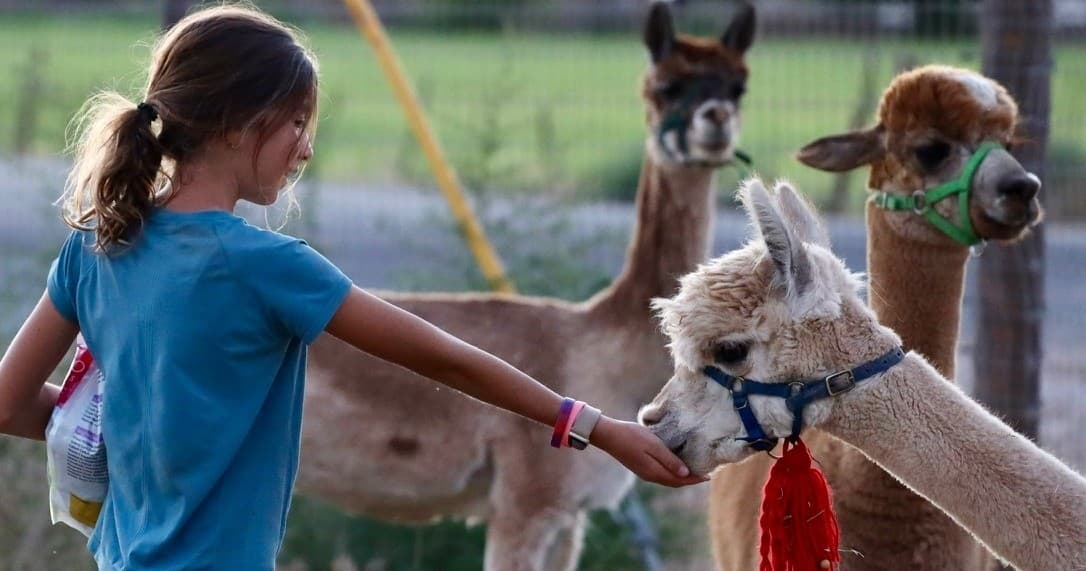 Full Year Kid's Farm School in Hurricane, Utah