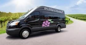 Middle of the Vines: Small-Group Vineyard Tour from Mystic to Stonington