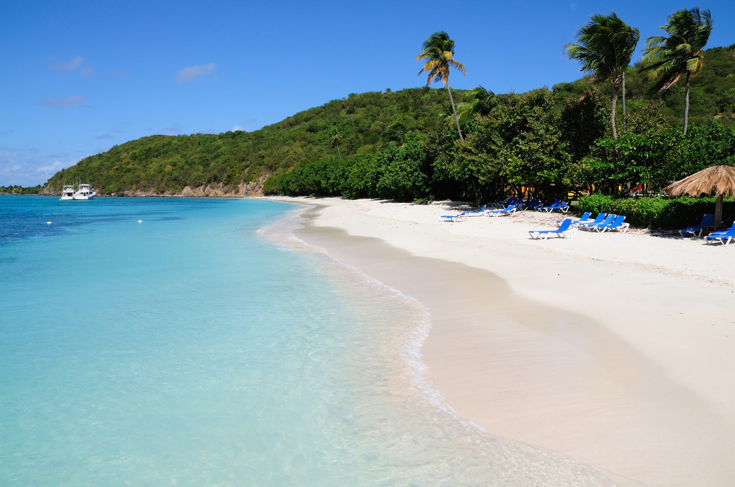 Pristine tropical beach with turquoise water and palm trees