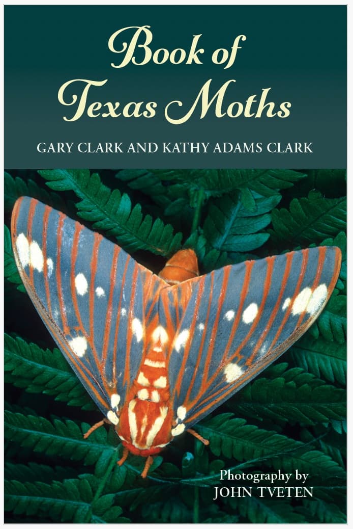 Night Wings of the Gulf: Moth Identification and History at UTMSI