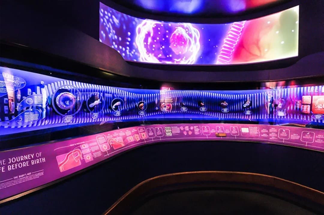 Step Inside Noah’s Ark & the Creation Museum: 3-Day Immersive Mount Pleasant Escape photo 2