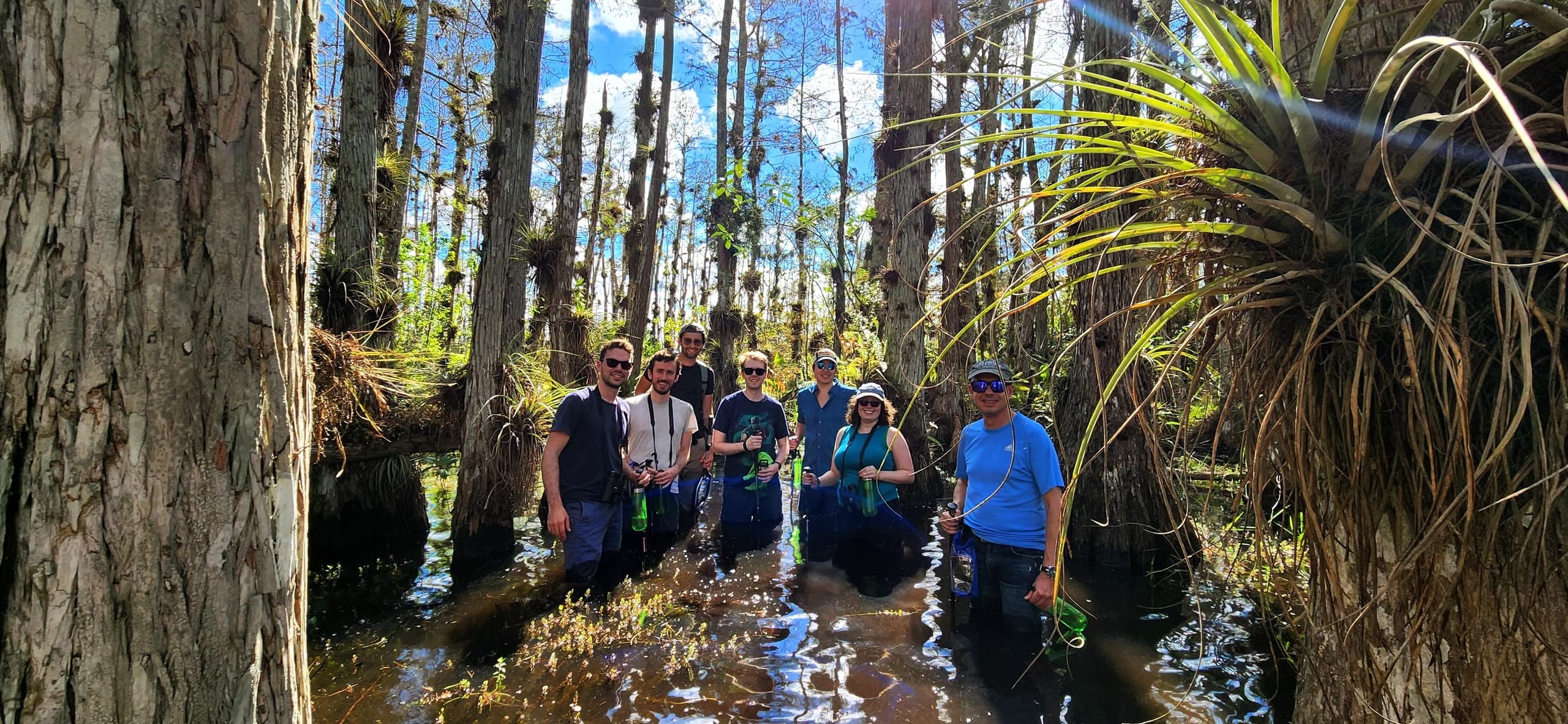 Everglades Wet Hike Adventure with Wild Lime Adventures