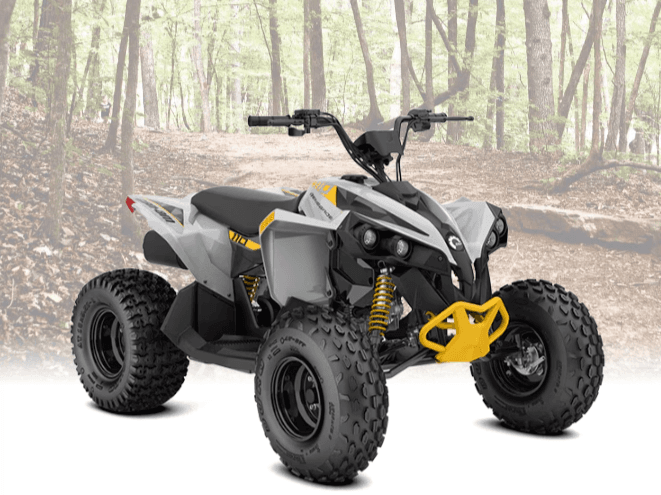 ATV Dune Rides on Dubois Beach: 2-, 4-, and All-Day Rentals photo 1