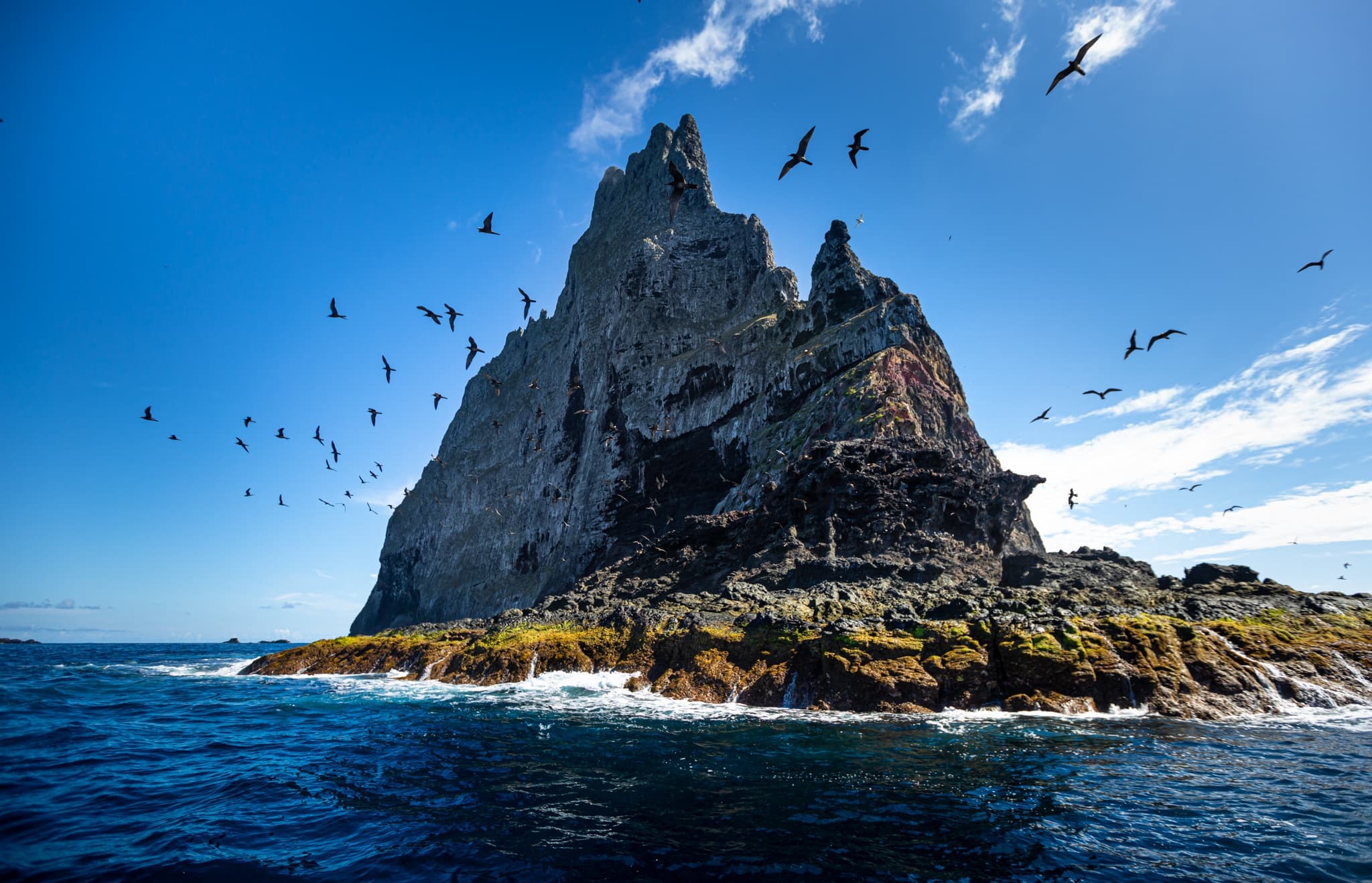 Ball’s Pyramid Expedition with Reef N Beyond Eco Tours