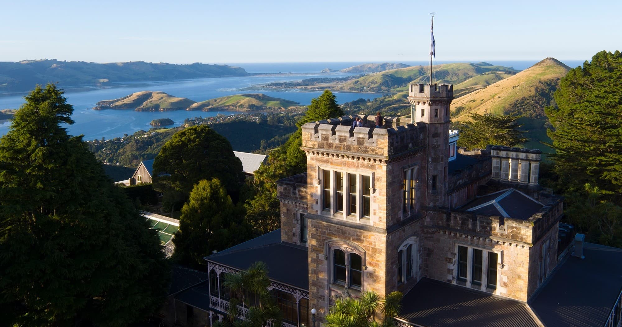 Castle to Cruise Ship Tour with Monarch Wildlife Cruises