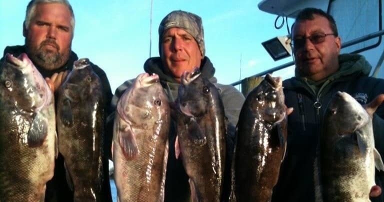 Charter anglers displaying large black sea bass on deck after trip