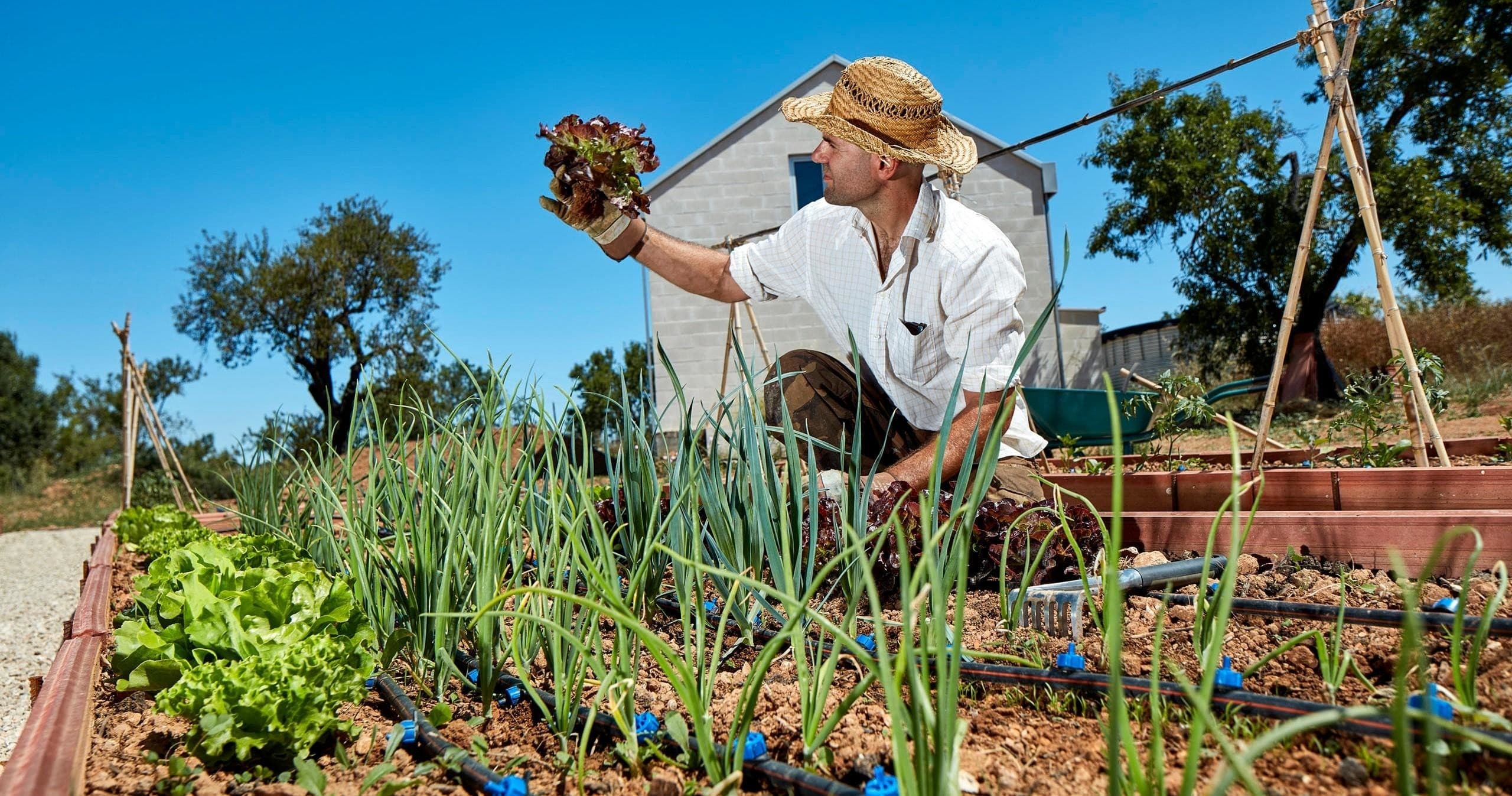 Farm Cooking Class & Lunch with Farm Experiences & Tours