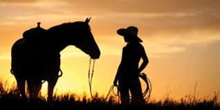 Yarraman Territory fleet