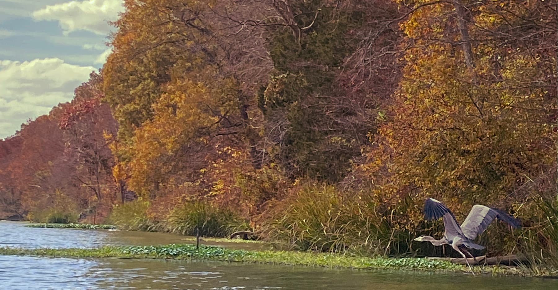 Fall Colors Paddle on Saxapahaw Lake: A Serene Autumn Flatwater Adventure in North Carolina