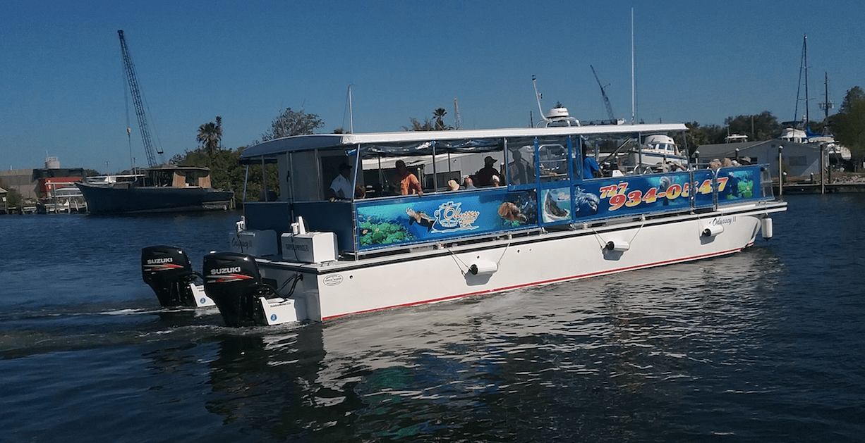 Tour boat cruising harbor offering wildlife and coastal tours