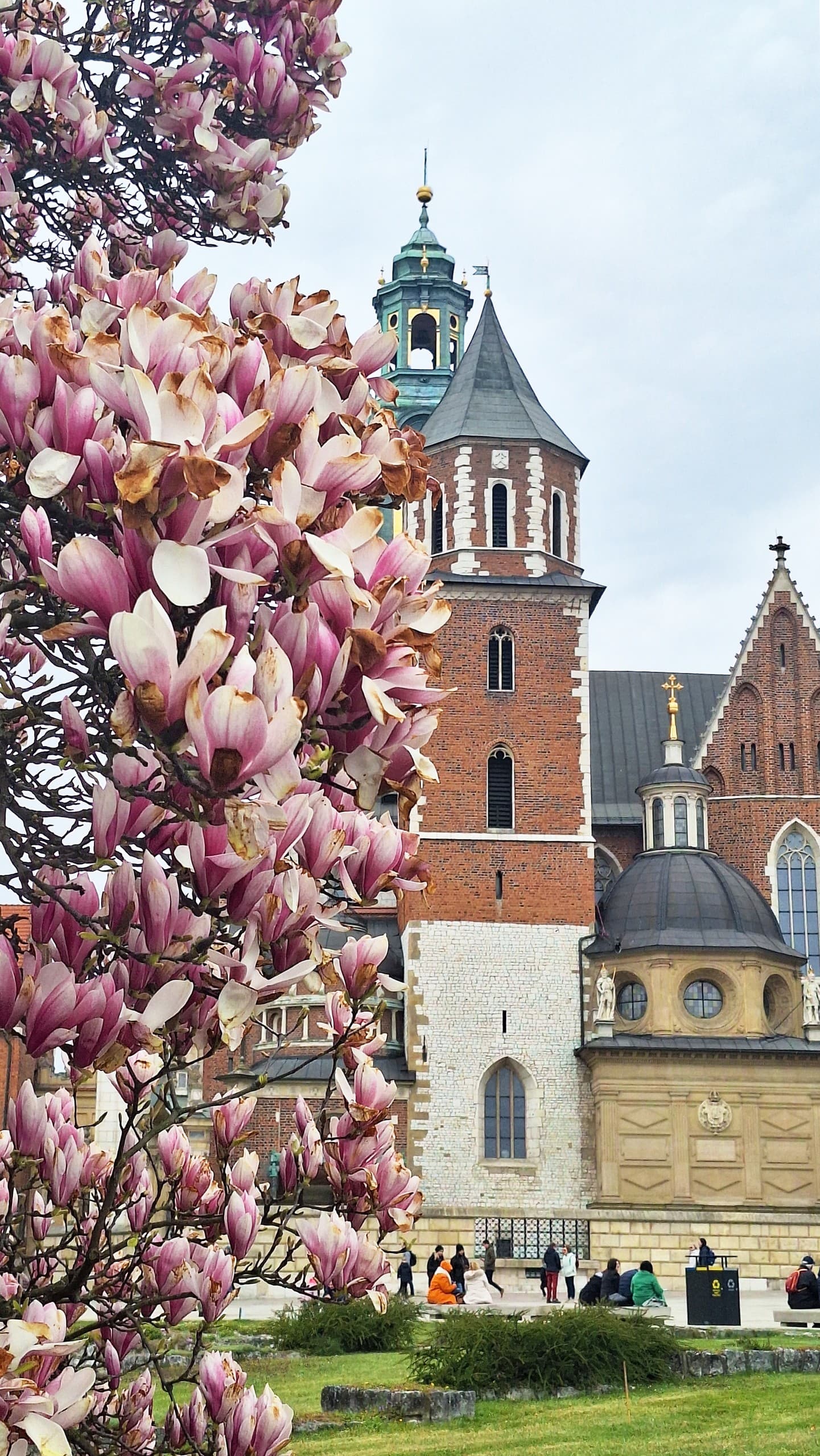 Inside Wawel Castle: Guided Tour of Royal Apartments on Wawel Hill photo 2