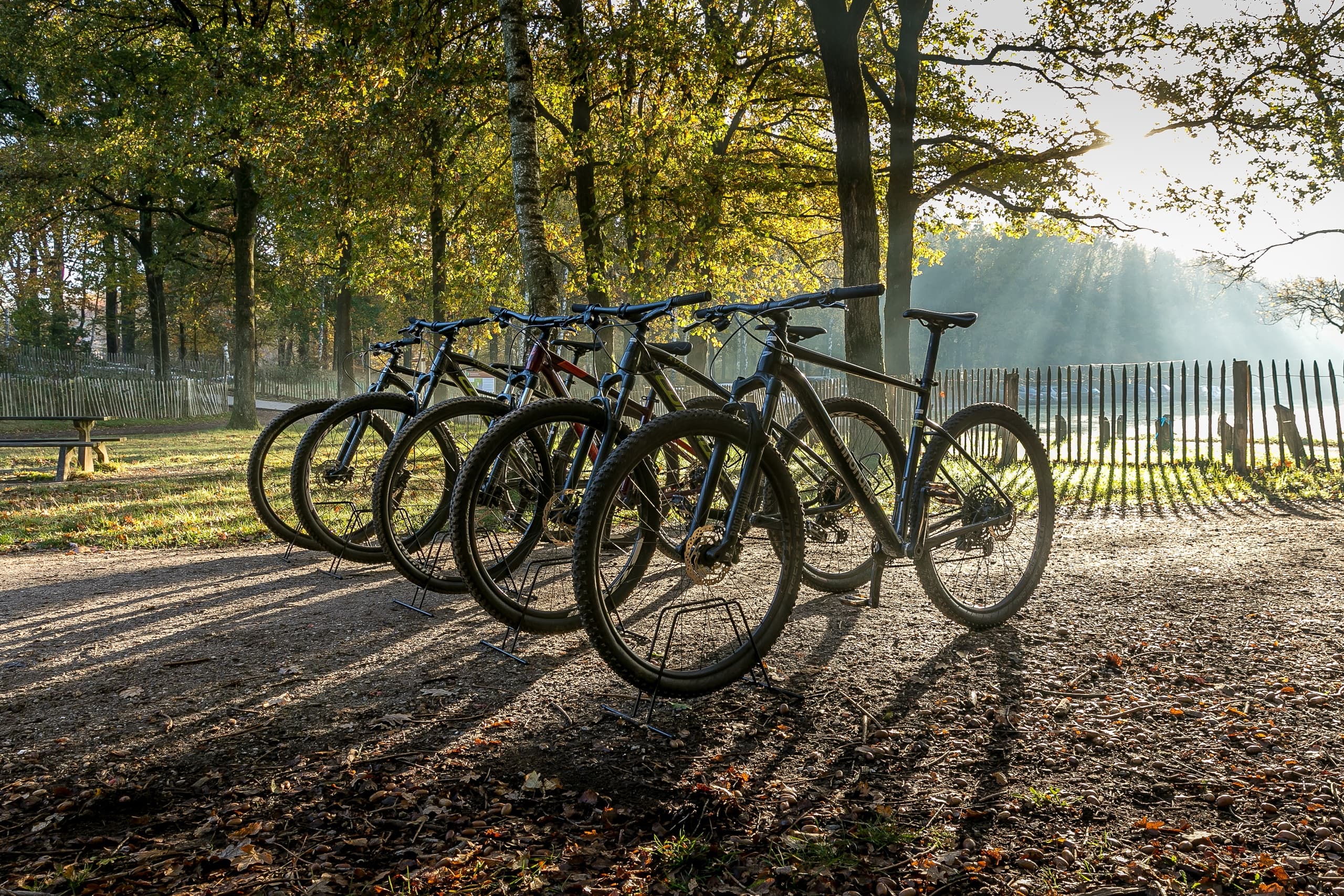 Scenic Routes & Outdoor Fun with Outline Outdoor in Rhenen