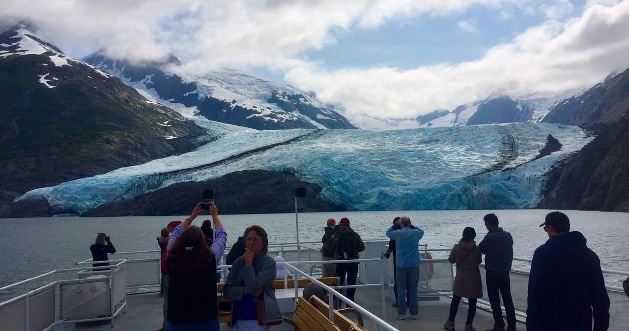 Cruise Ship Special: Alaska Wildlife Adventure — Dall Sheep, Belugas & the Alaska Wildlife Conservation Center