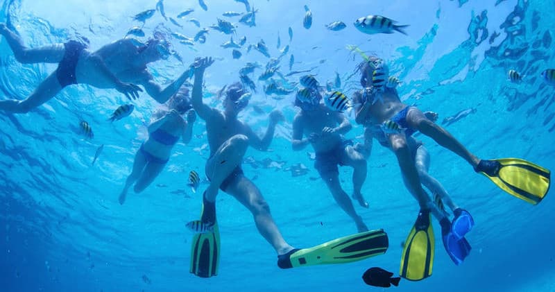 Snorkelers exploring tropical reef with fins and colorful fish