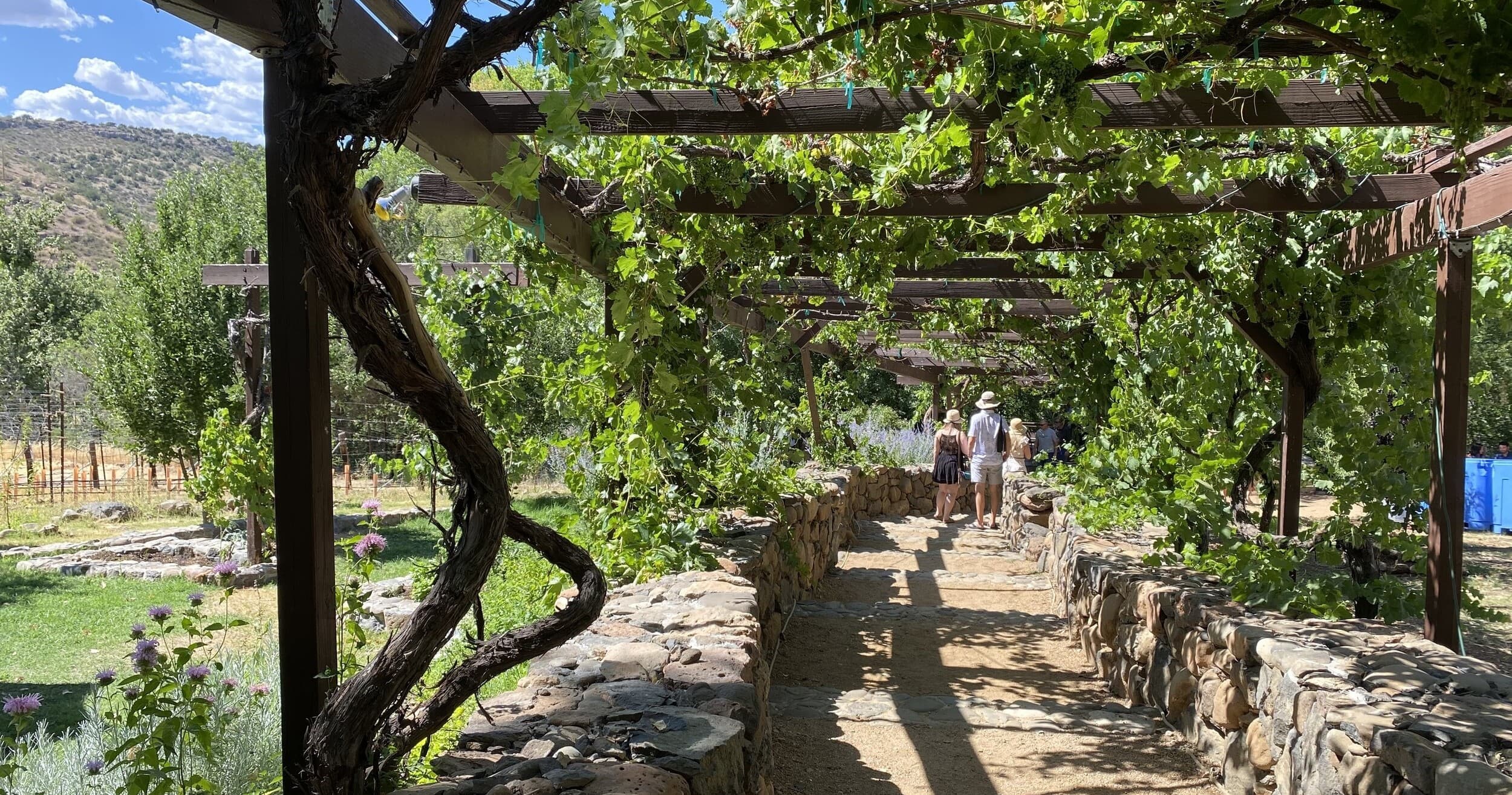 Verde Valley Wine Trail Tour in Cottonwood, AZ
